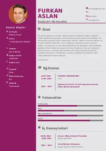 Endüstri Mühendisi CV Örnekleri cv indir